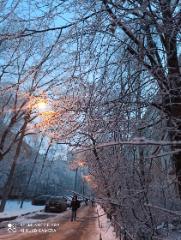 Ильченко Илья 4-б. Снежный Питер